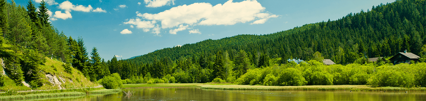 Headerbild Frühling und Sommer