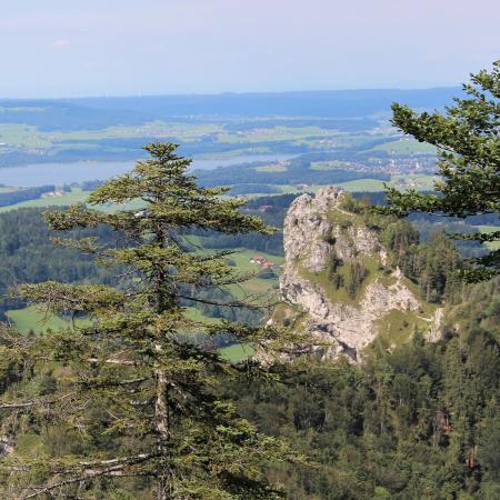 Aussicht auf Nockberg und Seengebiet