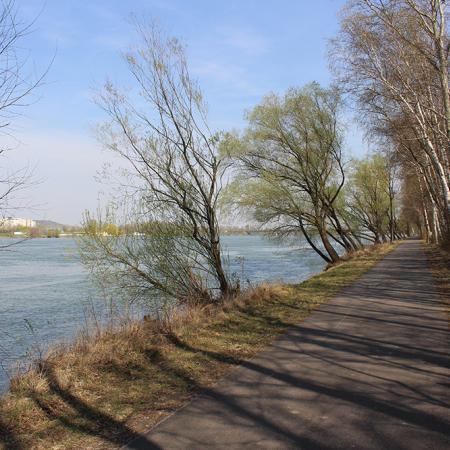 Donauweg in Mautern