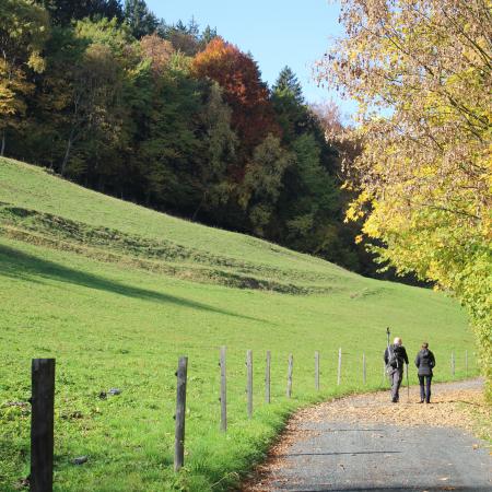 Wanderweg am  Millstättersee