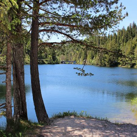 Am Hubertussee