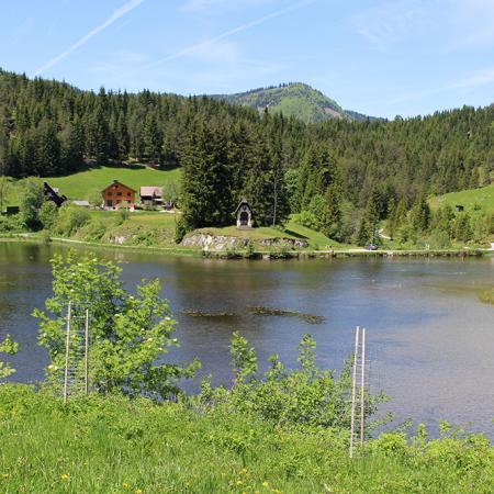 Am Hubertussee