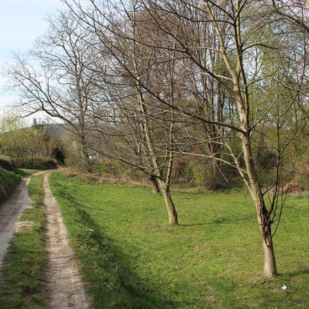 Am Suessenberg bei Mautern